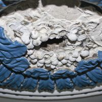 Damaged Cast Ornate Ceiling Rose Closeup