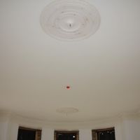 Fixed ceiling roses with enrichments