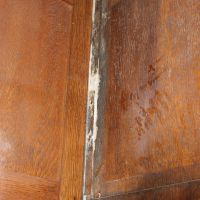 Damp dry rot coming through wood panelling