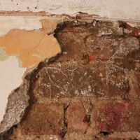 Rot behind plasterwork
