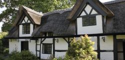 {image:title} - Tudor Cottage Restoration - National Trust Property - Wattle & Daub and Lime Plaster Restoration