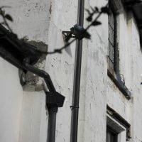 Damaged walls sils plaster before restoration