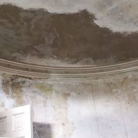 Lime plaster wall cornice ceiling restoration